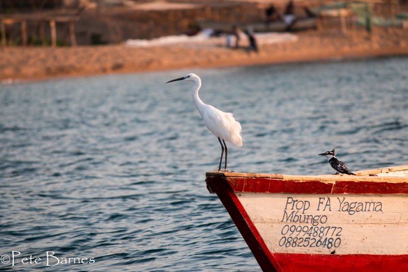 Likoma Island, Mango Drift Lodge 07
